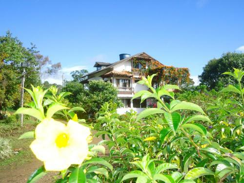 Hostal Hotel Pachamama