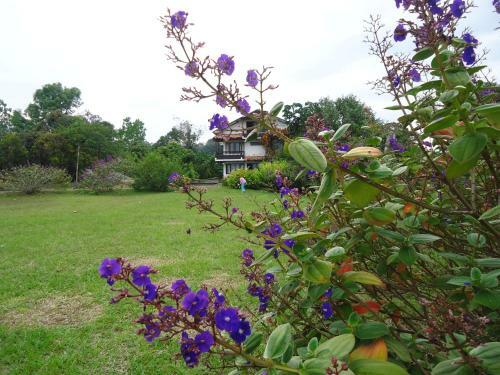Hostal Hotel Pachamama
