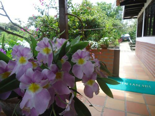 Hostal Hotel Pachamama