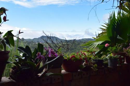 Hostal Hotel Pachamama