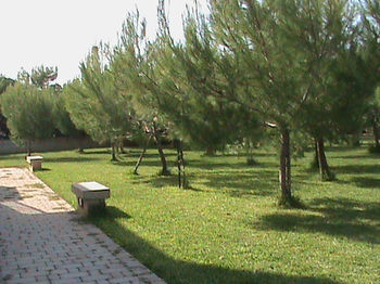Hotel Koine