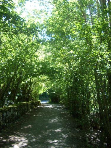 Ball Benas Apartamentos