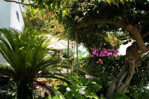 Residencia Villaggio Nemo