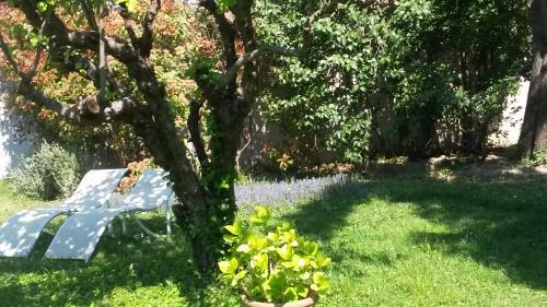 B&B Caza Sereyna