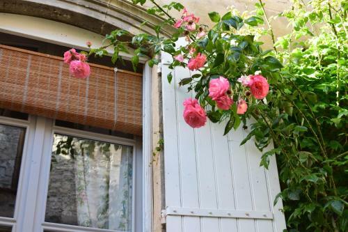 Hostal Cocooning Avignon