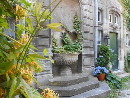Hostal Cocooning Avignon