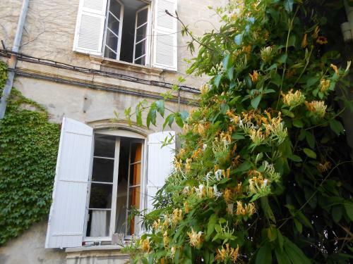 Hostal Cocooning Avignon