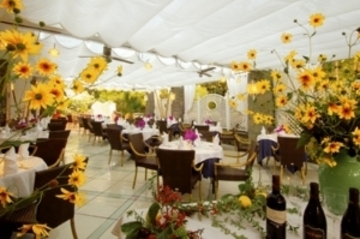 Central Park Hotel Terme