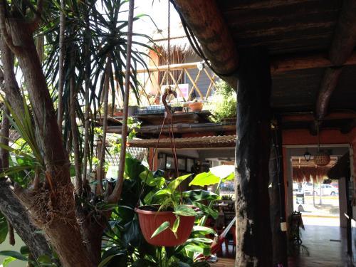 Hotel L.hotelito Tulum