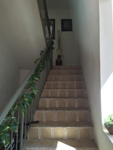 Hotel & Suites La Huerta