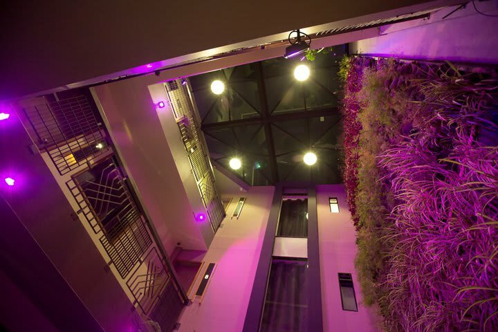 Hotel Helverica