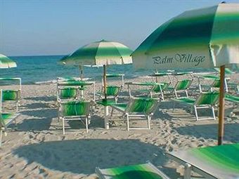 Hotel Palm Village
