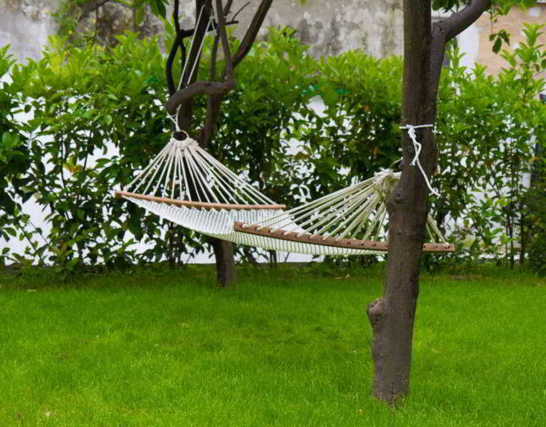 Bb Il Paradiso Di Dante