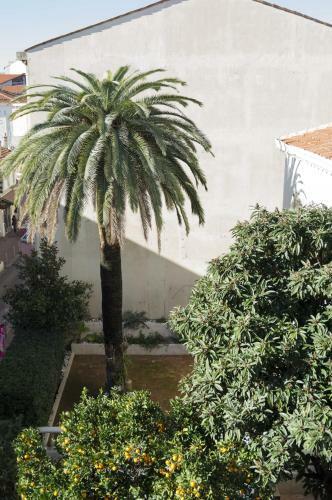 Apartamento Appartement Cannes Rue Marceau
