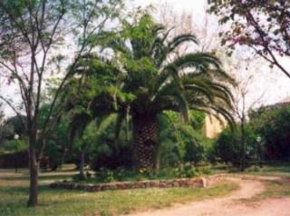 Otedis Hotel Garibaldi