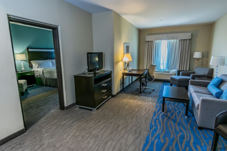 Hotel Holiday Inn Houston-webster