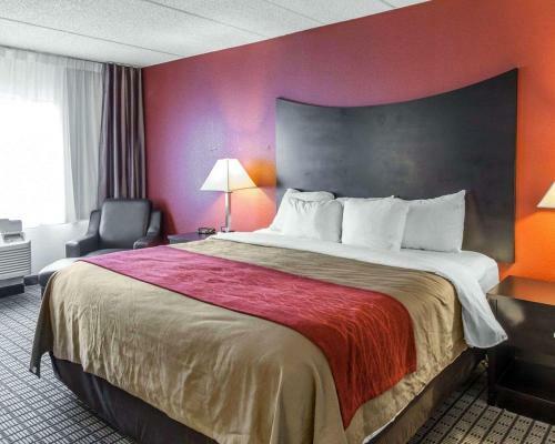 Hotel Comfort Inn Bwi Airport