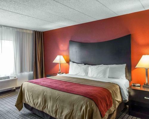 Hotel Comfort Inn Bwi Airport