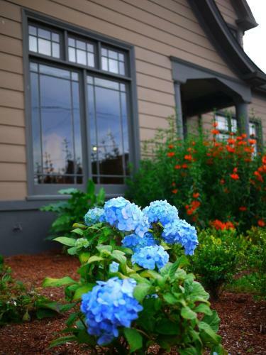 Bed & Breakfast Hydrangea Inn