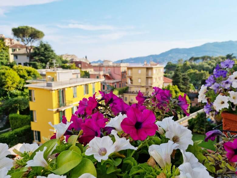 Hotel Canali