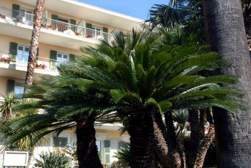 Hotel Paradiso