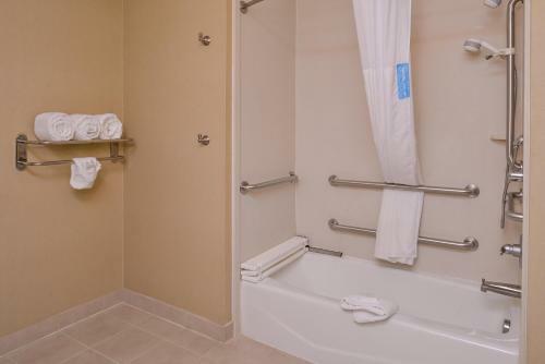 Hotel Hampton Inn & Suites Big Spring