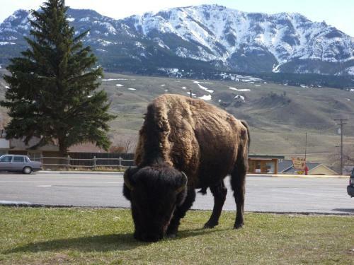 Posada Yellowstone Gateway Inn