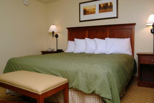 Hotel Country Inn & Suites Birch Run