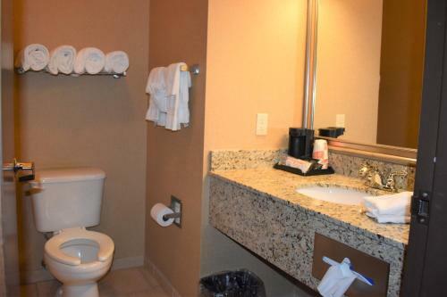 Hotel Comfort Inn & Suites Scottsboro