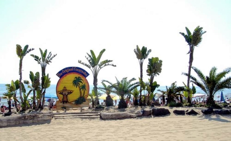 Hotel Villaggio Albergo Internazionale La Plaja