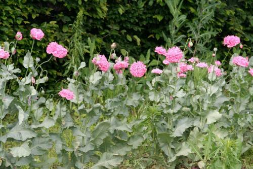 Bed & Breakfast Chambres D'h�tes Manoir de La Manantie