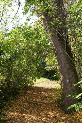 Bed & Breakfast Chambres D'h�tes Manoir de La Manantie