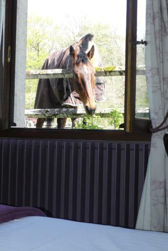 Bed & Breakfast Chambre D'hotes Les Macheti�res
