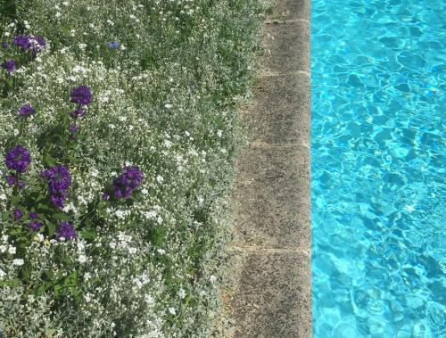 Bed & Breakfast Fleurs De Vignes