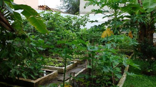 Hostal Pousada Calvanos Chal�s