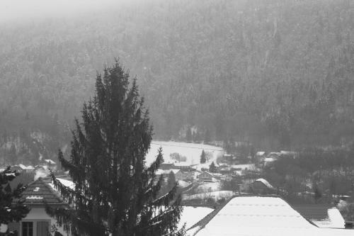 Hotel Accueil Savoyard