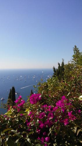 Hostal Maison D'h�tes Village De Roquebrune Cap Martin