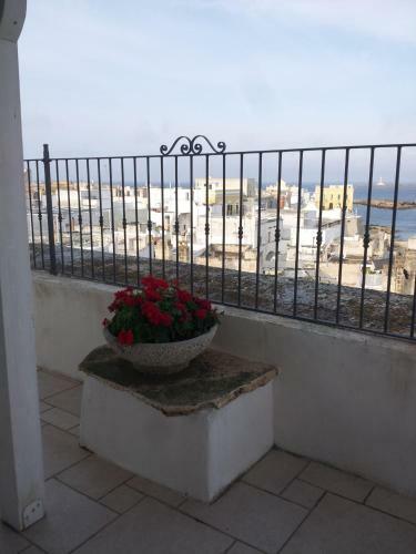 Bed & Breakfast Senape De Pace