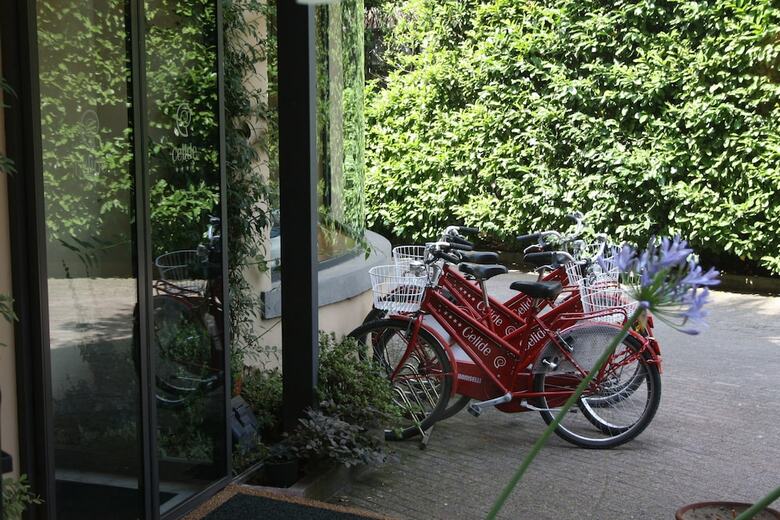 Hotel Albergo Celide