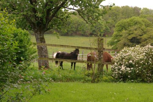 Bed & Breakfast Maison D'h�tes Du Domaine De Co�t Bihan