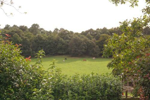 Bed & Breakfast Maison D'h�tes Du Domaine De Co�t Bihan