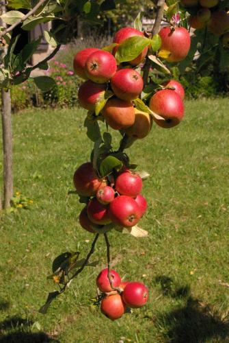 Bed & Breakfast Maison D'h�tes Du Domaine De Co�t Bihan