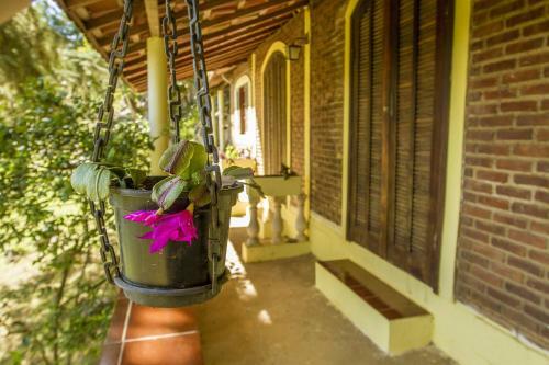 Hostal Pousada C�u De Luz