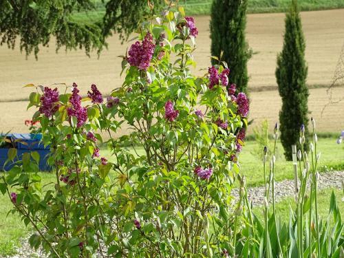 Hostal Les Chalets D'h�tes Esprit Nature