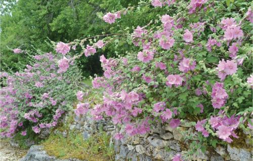 Les Murailles