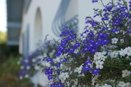 Bed & Breakfast Chambre D'h�tes Etchebri