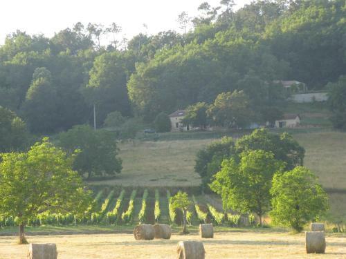 Bed & Breakfast La Theroniere