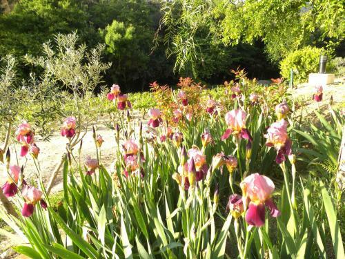 Bed & Breakfast La Bergerie