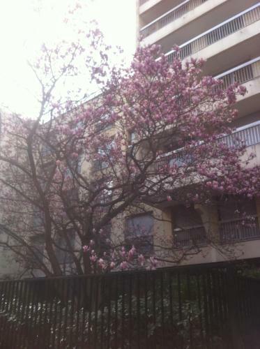 Bed & Breakfast Chambres D'h�tes Chez B�r�nice