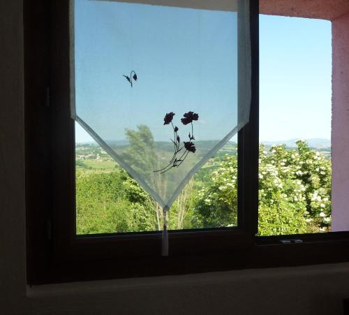 Hostal Chambres D'h�tes Les Terrasses De Fleurieux